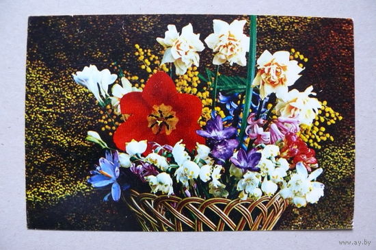 Костенко Г.(фото), Букет цветов, 1974, подписана.