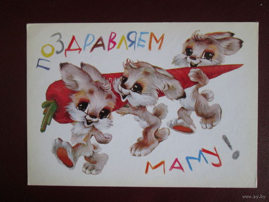 Почтовая открытка.СССР.1981г.Чистая.