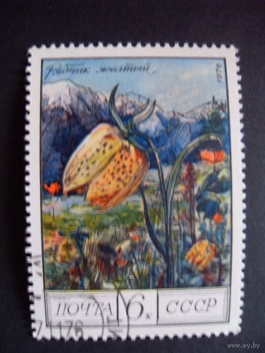 СССР. Рябчик жёлтый 1976 цветы
