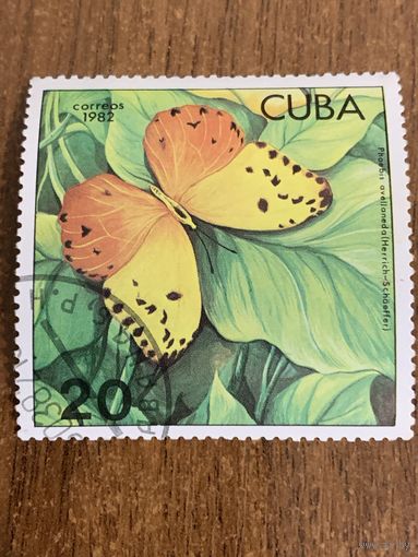 Куба 1982. Бабочки. Марка из серии