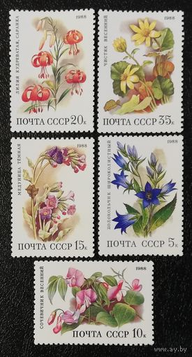 Цветы (СССР 1988) чист