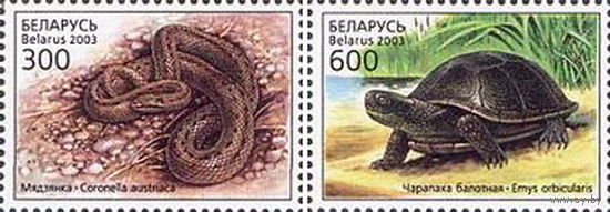 Беларусь 2003  Рептилии