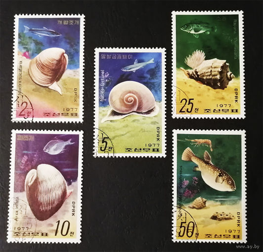 КНДР Корея 1977 г. Моллюски. Рыбы. Морская фауна, полная серия из 5 марок #0091-Ф2P17