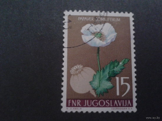Югославия 1955 цветы
