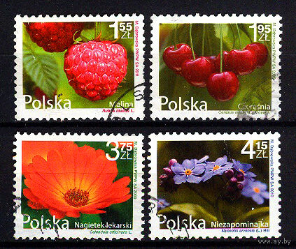 2009 Польша. Цветы и фрукты