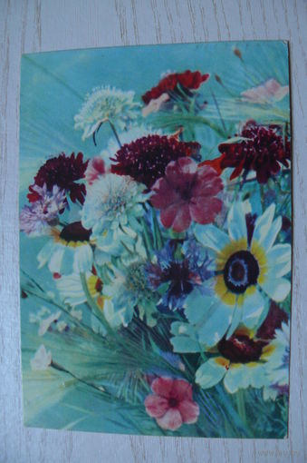Ананьина Т., Летние цветы; 1967, подписана (изд. Минск).
