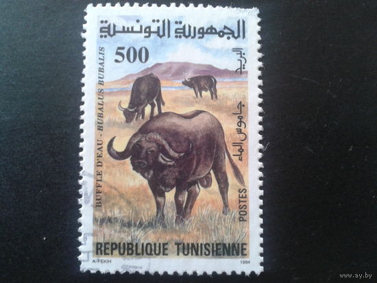 Тунис 1994 буйволы Mi-1,5 евро гаш.