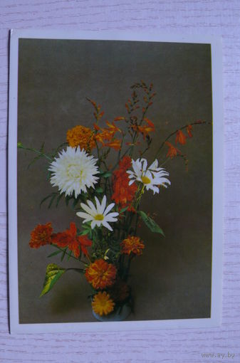 Савалов Е., Композиция из цветов; 1983, чистая.