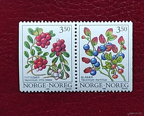 Норвегия: 2м/с Ягоды, 1995г