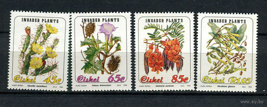 Сискей (Южная Африка) - 1993 - Флора - [Mi. 242-245] - полная серия - 4 марки. MNH.