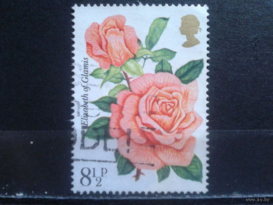 Англия 1976 Розы