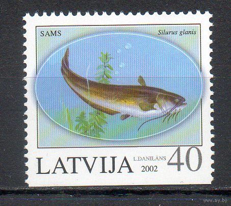 Рыбы Латвия 2002 год 1 марка б/з снизу (так надо).