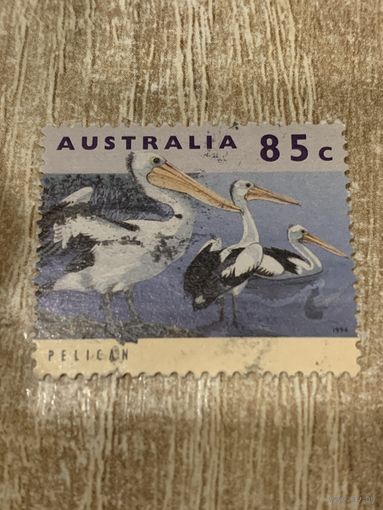 Австралия 1994. Птицы. Пеликаны. Марка из серии