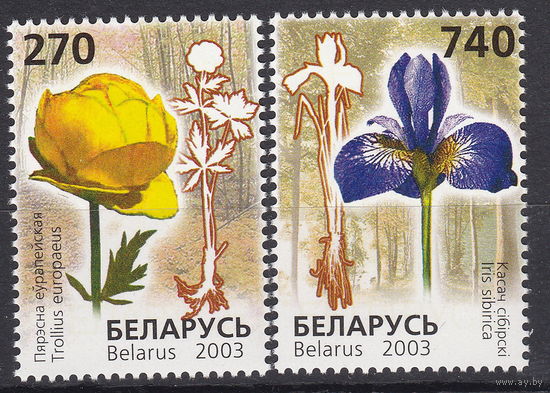 Беларусь 2003 Красная книга. Цветы