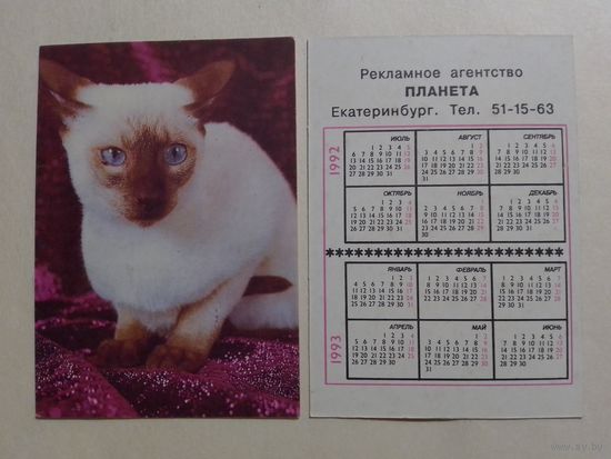 Карманный календарик. Котик.1992 год