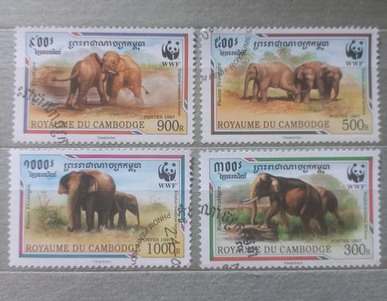Камбоджа. Фауна. Слоны.