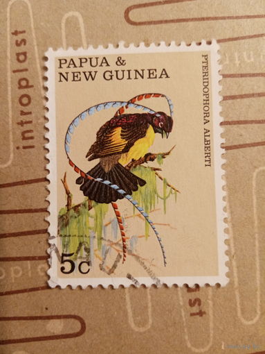 Папуа Новая-Гвинея. Фауна. Птицы. Pteridophora Alberti