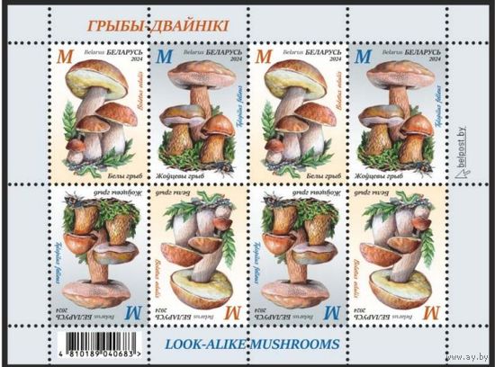 2024г Беларусь MNH  Малый лист "Грибы-двойники"