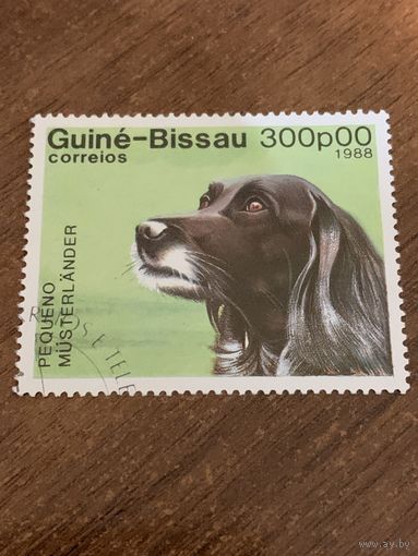 Гвинея-Биссау 1988. Породы собак. Pequeno musterlander. Марка из серии