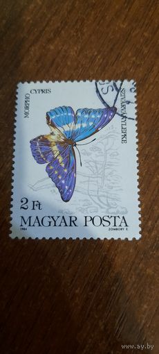 Венгрия 1984. Бабочки. Morpho cypris. Марка из серии
