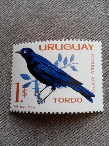 Уругвай. Фауна. Птицы