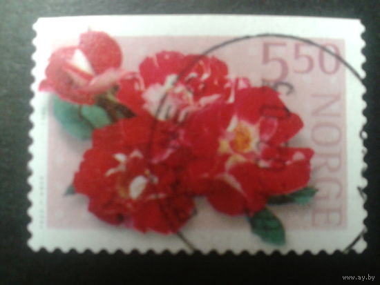 Норвегия 2001 розы