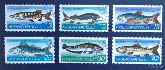 Болгария.1983.Рыбы (полная серия 6 марок)