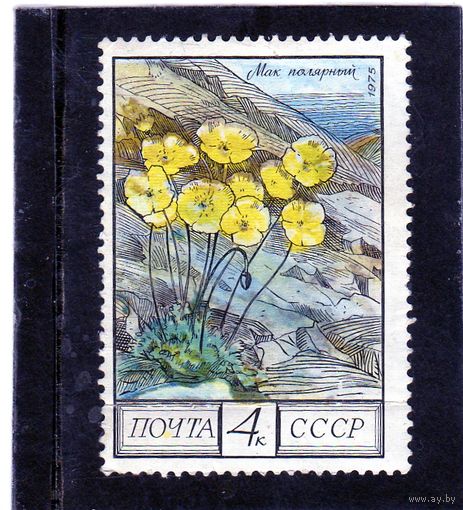 СССР.Флора СССР.1975.