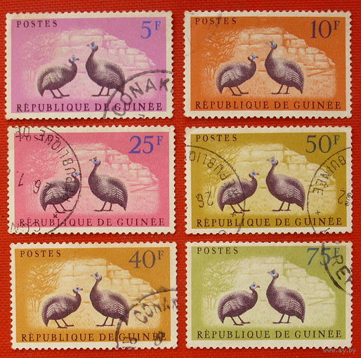 Гвинея. Птицы. ( 6 марок ) 1962 года.