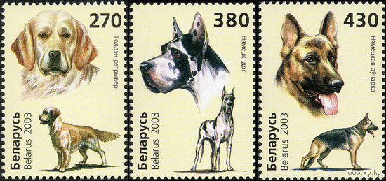 Собаки Беларусь 2003 год (526-528) серия из 3-х марок