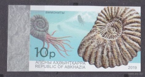 2019 Республика Абхазия 1003b Ракушки морские 7,00 евро