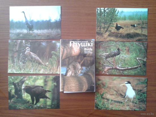 Беларусь 2000 Березинский заповедник Птицы Комплект 15 открыток 3 скана