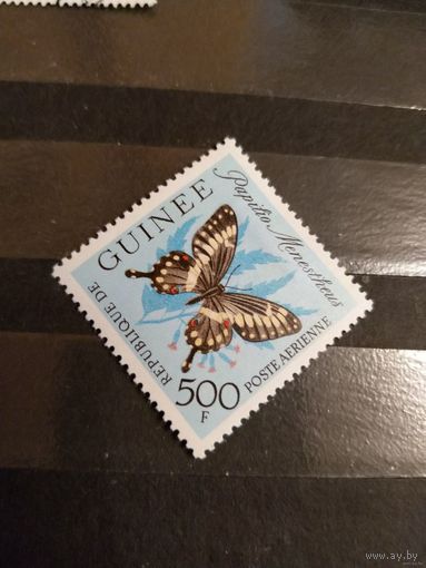 1963 Гвинея фауна бабочка насекомые дорогая концовка серии чистая клей наклейка (5-4)