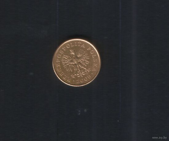 1 грош 2009 Польша. Возможен обмен