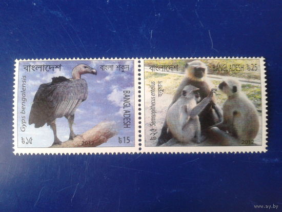 Бангладеш 2012 фауна сцепка