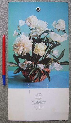 Подвес 1984 г. СССР для отрывного календаря, держатель, политиздат, Пионы, Костенко .
