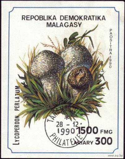 Блок и 7 марок 1990 год Мадагаскар Грибы 1288-1294 и 154