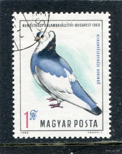 Венгрия. Выставка голубей