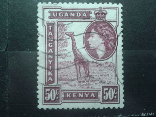 Кения Уганда Танганьика 1954 Королева, жираф 50с