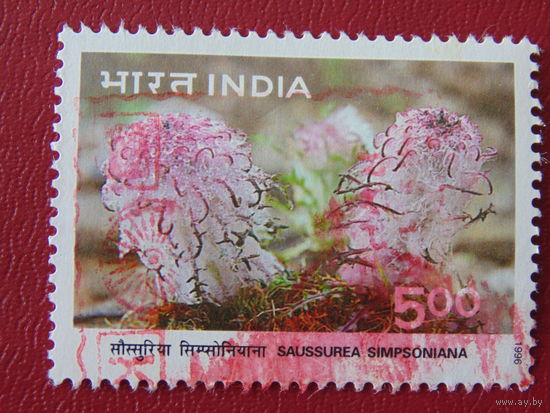 Индия  1996г. Флора.