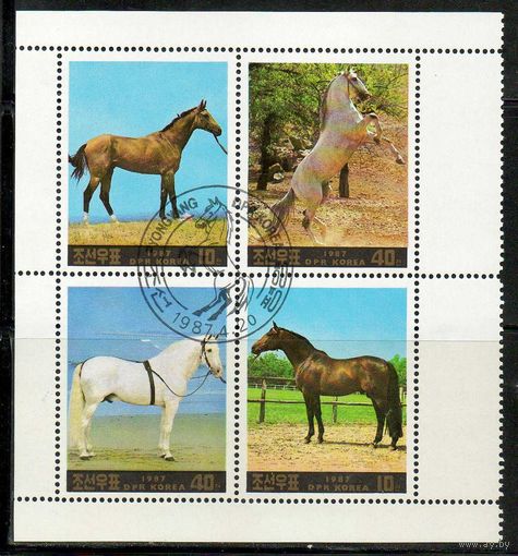 Лошади КНДР 1987 год серия из 4-х марок в квартблоке