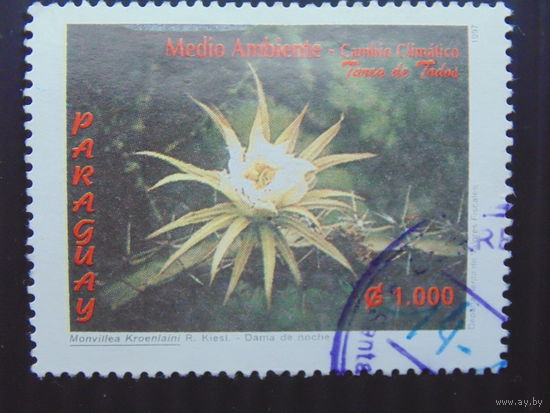 Парагвай 1997 г. Цветы.