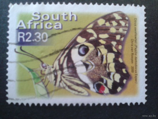 ЮАР 2000 бабочка