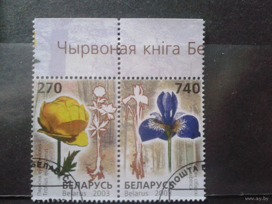 2003 Цветы, сцепка