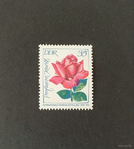 Цветы Розы Флора ГДР Германия 1972 Mi 1780