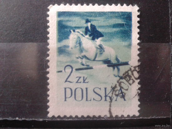 Польша 1959 Конный спорт
