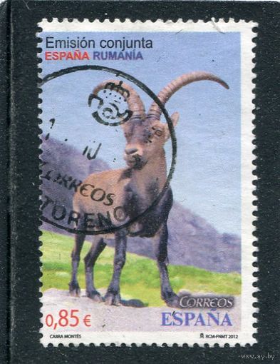 Испания. Фауна. Пиренейский козел