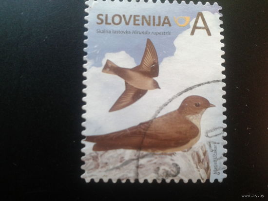 Словения 2014 стандарт птицы
