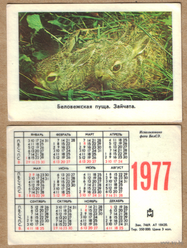 Календарь Беловежская пуща Зайчата 1977