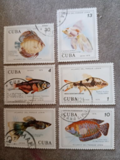 Куба 1978. Рыбы. Аквариум в парке им. ЛЕНИНА